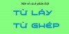 MỘT SỐ CÁCH PHÂN BIỆT TỪ GHÉP, TỪ LÁY